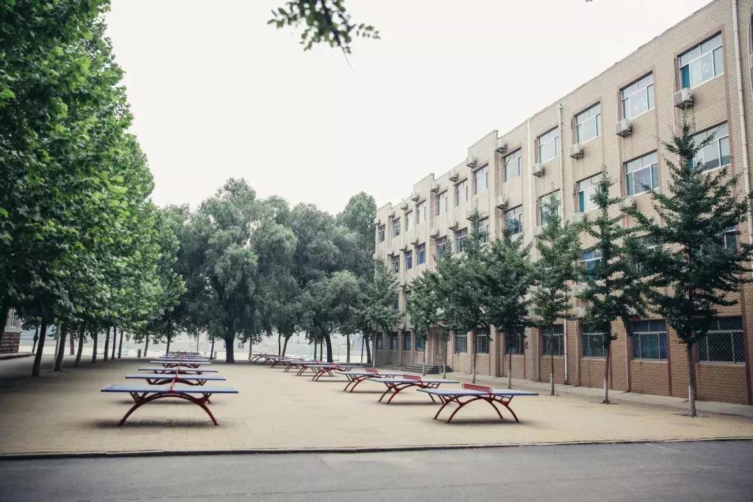 历城二中老照片,历城二中回忆