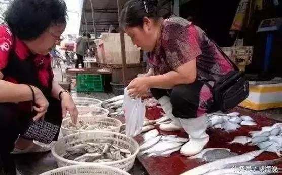 炫富卖海鲜的,威海开海去哪买海鲜