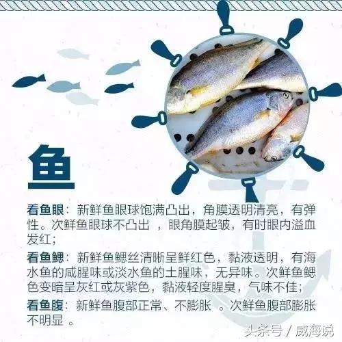 炫富卖海鲜的,威海开海去哪买海鲜