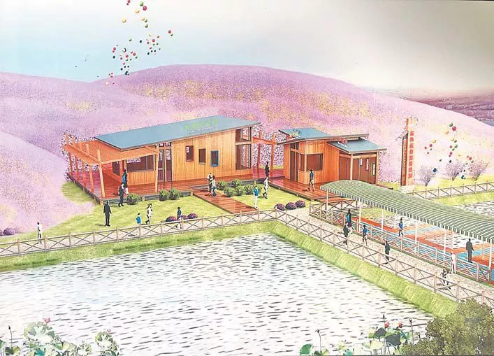 义乌花间花海,义乌百亩花海风景