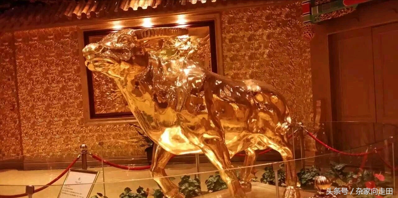 天下第一村华西村图片,中国华西村天下第一村