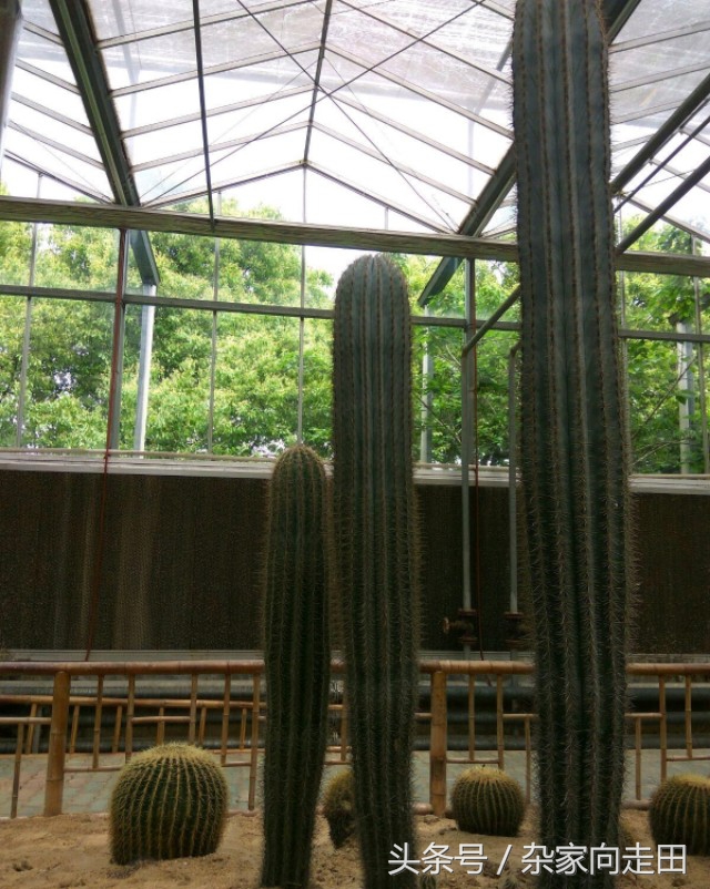 天下第一村华西村图片,中国华西村天下第一村