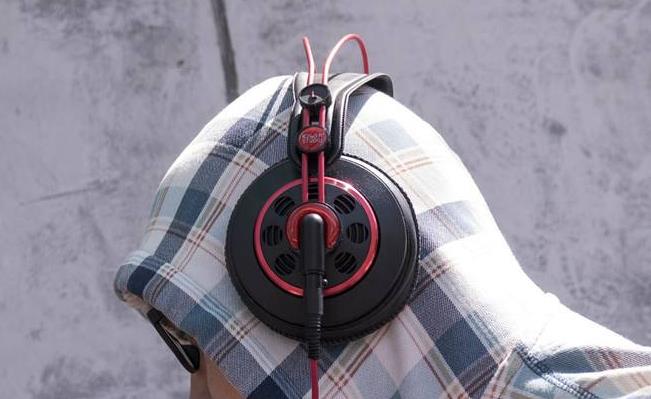 动物听到人类的声音是怎样的,动物能听到的声音和人类一样吗