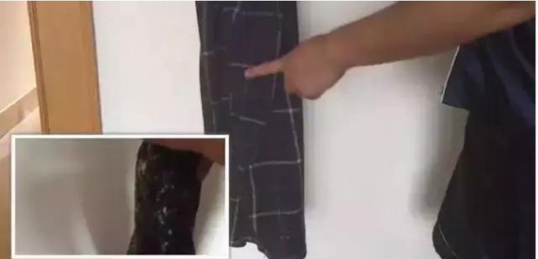 福鸽洗涤：洗衣机洗出来的衣物沾满纸屑怎么破？