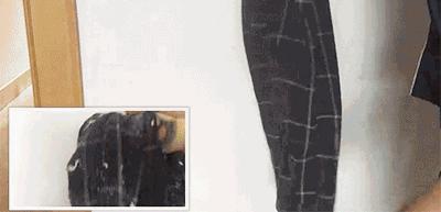 福鸽洗涤：洗衣机洗出来的衣物沾满纸屑怎么破？