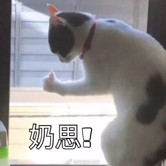 去日本玩都玩什么,去日本玩必买