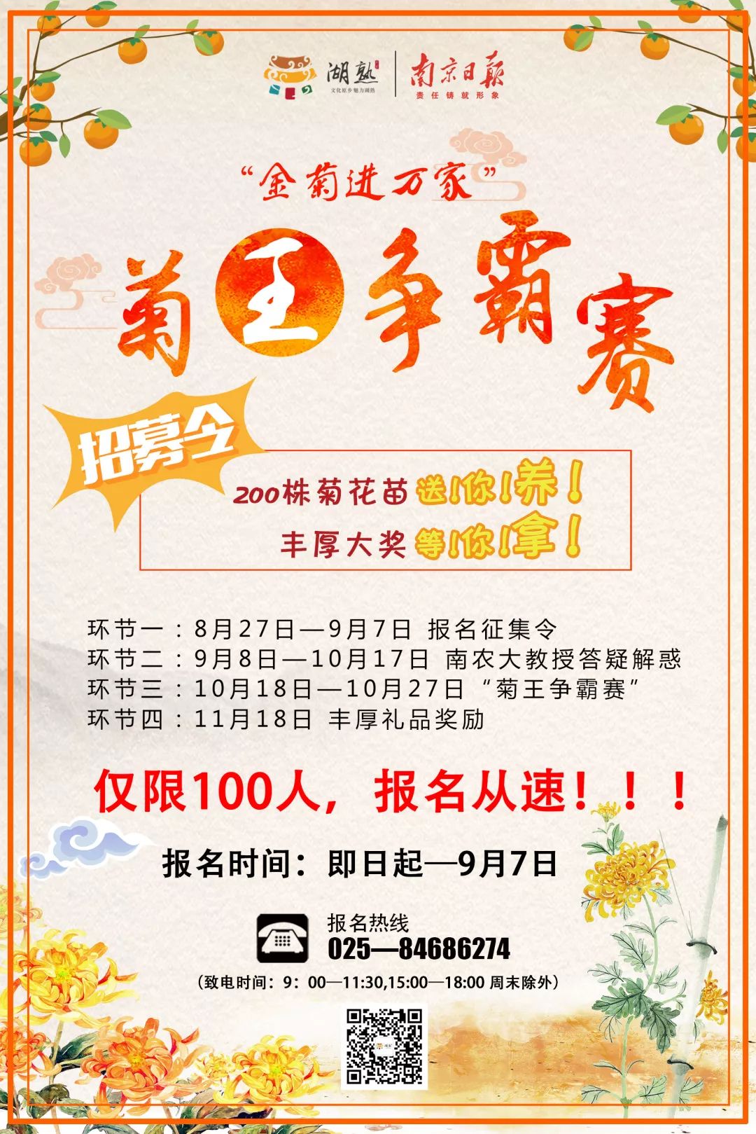 所有人,200株菊花苗,送你养!金菊报秋时,等你来参赛!