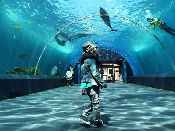 日本横滨自由行旅游攻略,去日本横滨旅游攻略