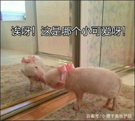 美白丸内服全身美白真能变白吗,赫熙美白丸真的可以美白吗