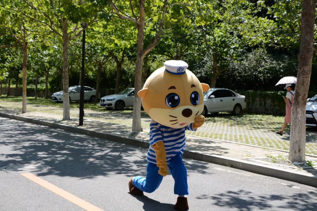 军训教官帅气出场,军训进行时英姿飒爽蓄势待发