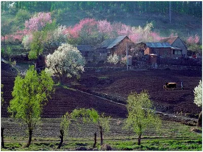 过往皆是云烟的诗句,诗词人生原创诗词