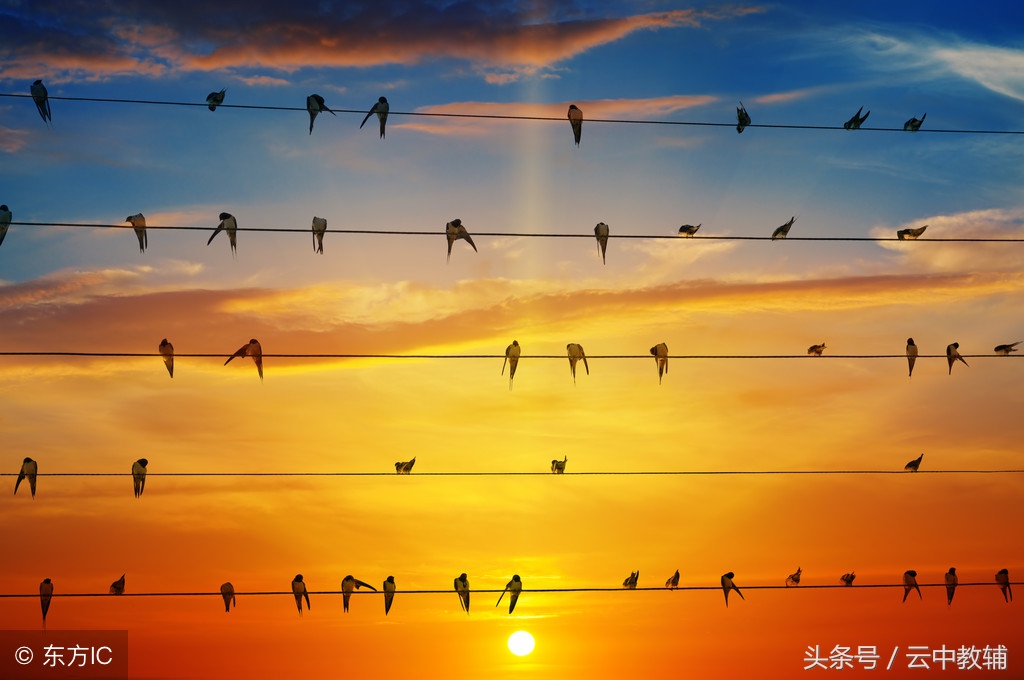 高中化学学好哪几个知识点上60分,高中化学高分技巧