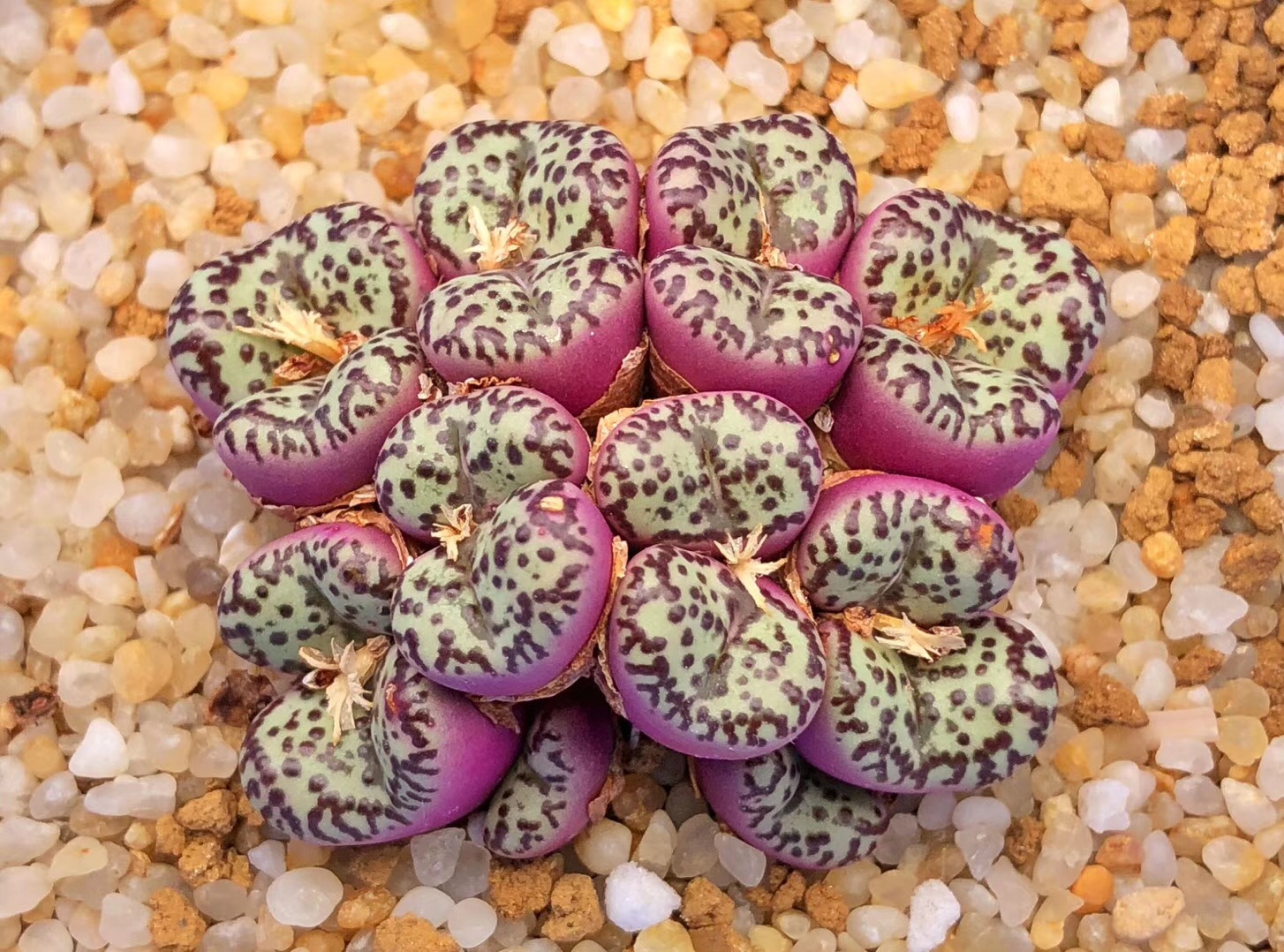 《慢生活·轻阅读》1356期