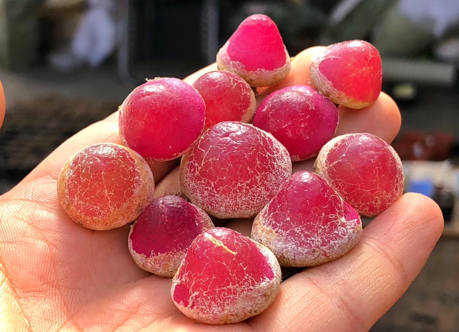 《慢生活·轻阅读》1356期