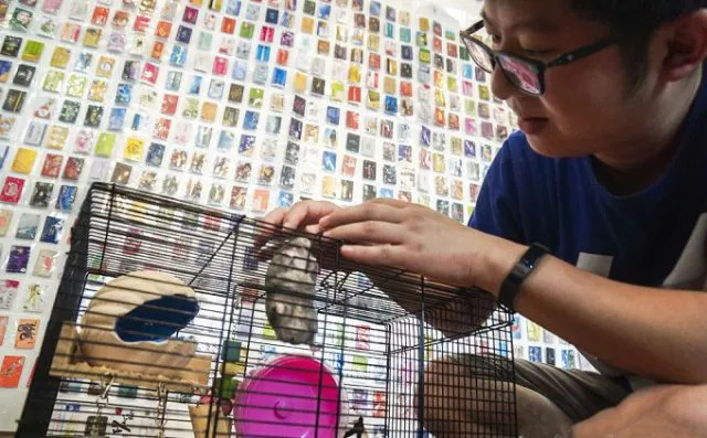 上海卡哥千张优惠卡,神操作卡