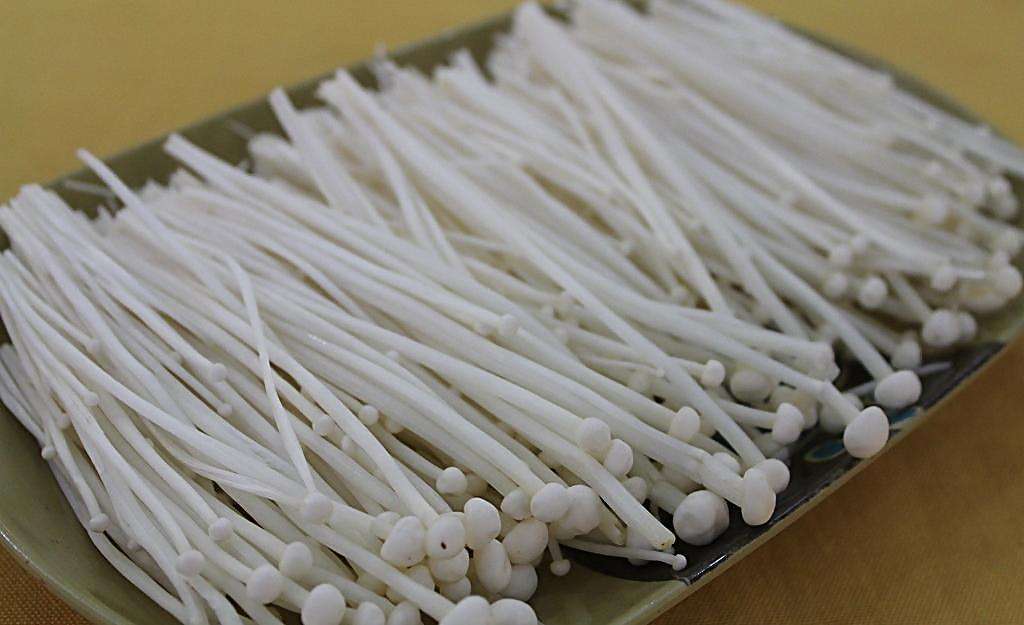 现在的金针菇可以一直吃吗,天天吃金针菇是什么意思