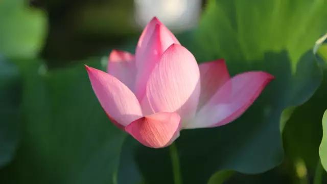 绵阳安州一日游最佳攻略,绵阳安州方向游玩推荐