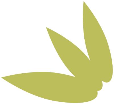 本草驿站中草药,本草驿站银耳图片