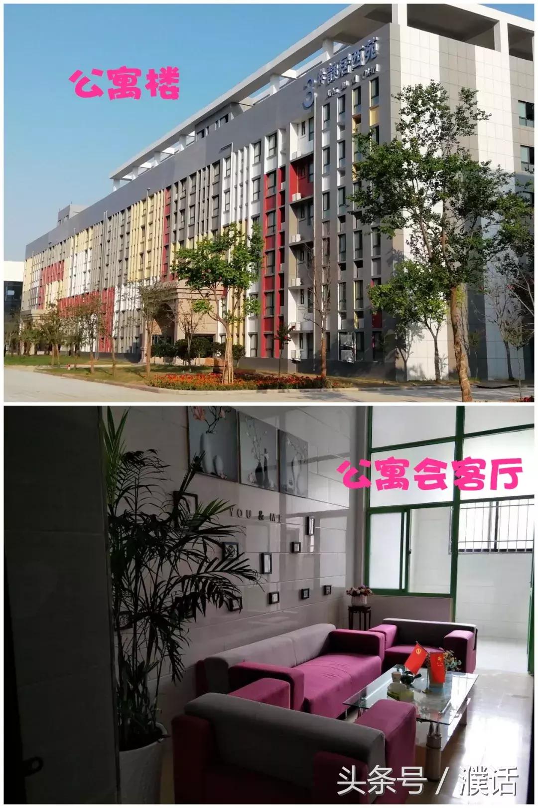 河南各大学寝室,河南本科院校宿舍条件排名