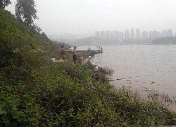 江边手竿赤眼鱼怎么钓,赤江钓鱼