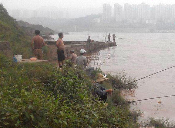 江边手竿赤眼鱼怎么钓,赤江钓鱼