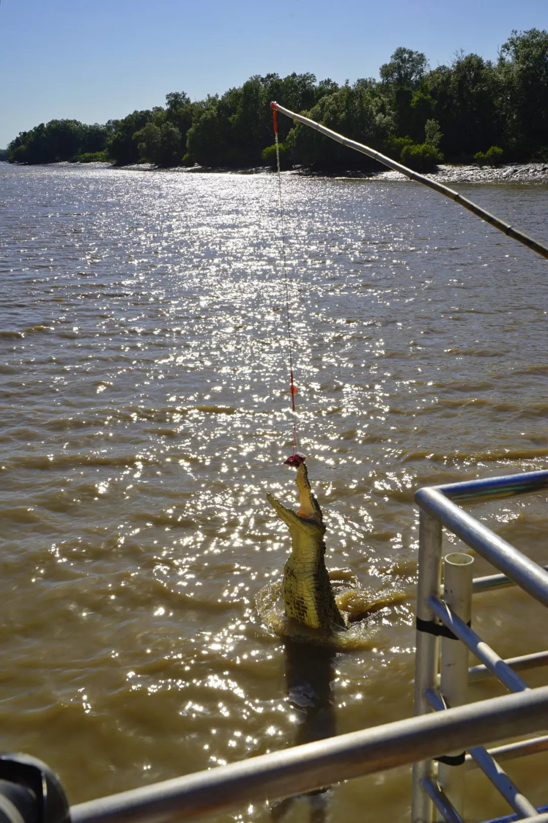 深圳有没有直飞悉尼的航班,深圳直飞悉尼最新消息