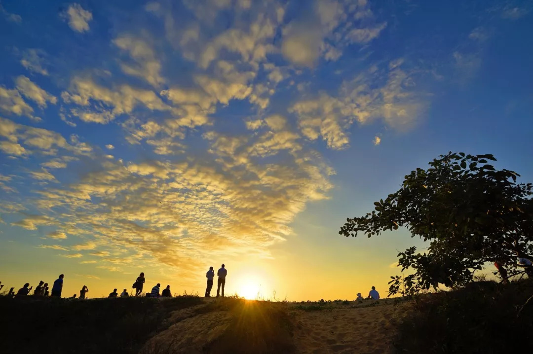 深圳有没有直飞悉尼的航班,深圳直飞悉尼最新消息