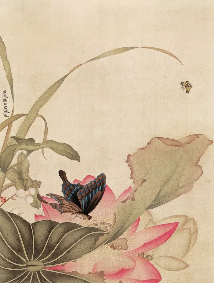 民国花鸟圣手大全,她凭自学成名堪称民国花鸟圣手