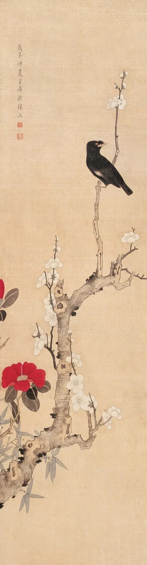 民国花鸟圣手大全,她凭自学成名堪称民国花鸟圣手