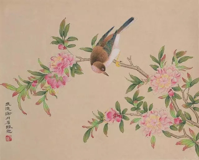 民国花鸟圣手大全,她凭自学成名堪称民国花鸟圣手