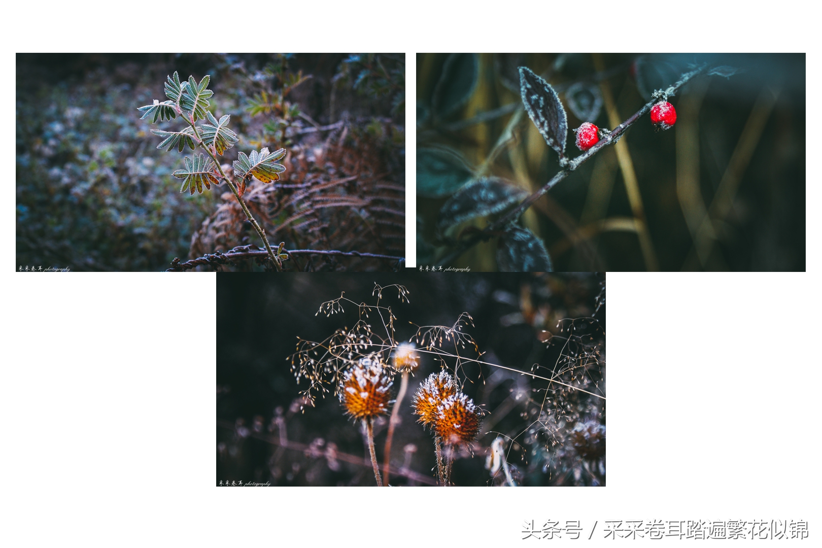 空山环葱郁日影幻太极神奇的大小空山之旅