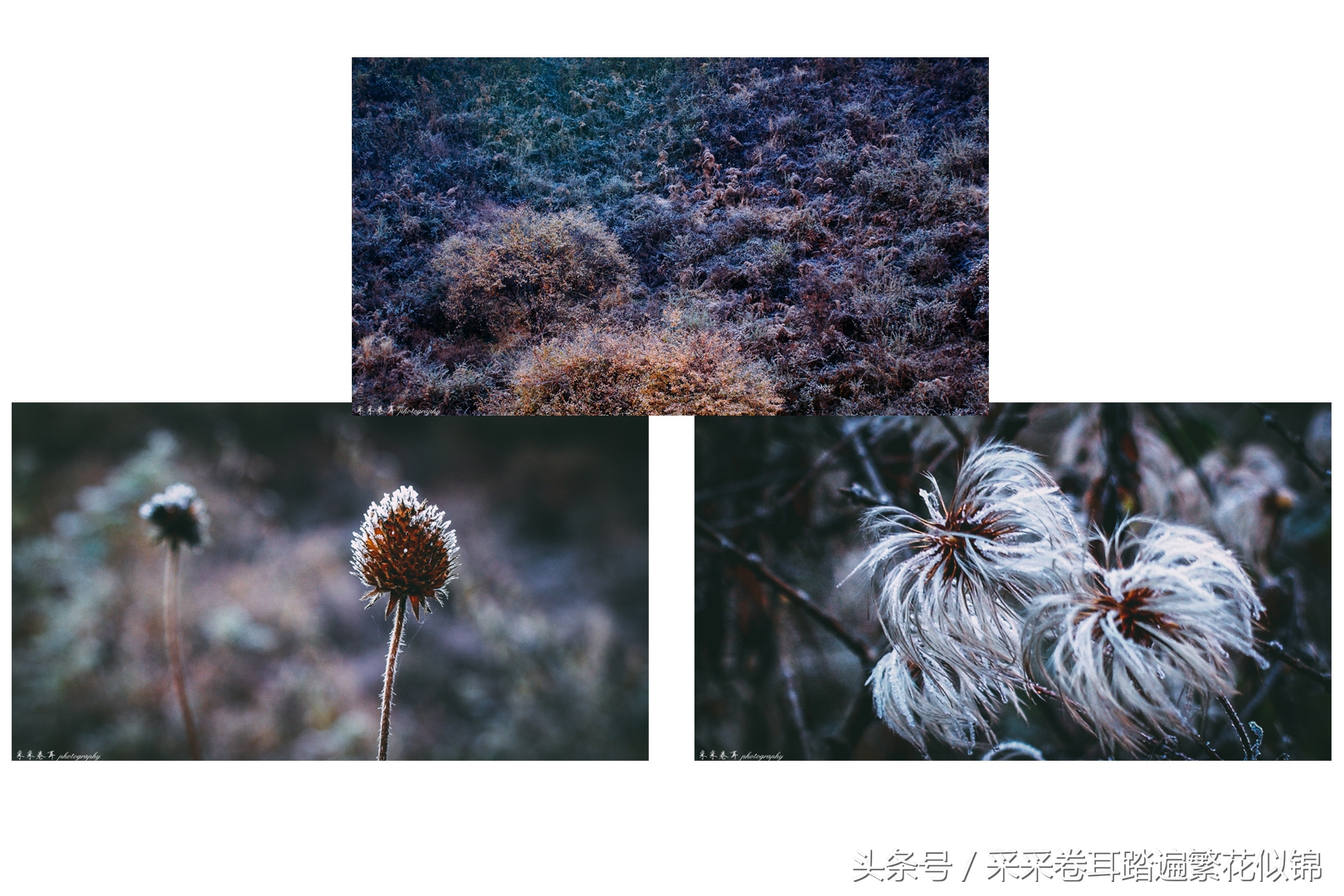 空山环葱郁日影幻太极神奇的大小空山之旅
