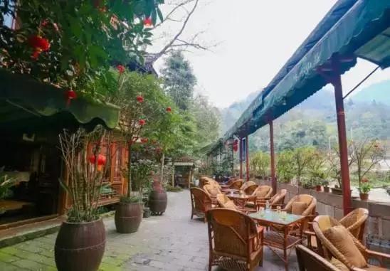 青城山住宿推荐攻略,青城山最舒服的住宿