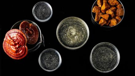 极地的这个东西居然能美容？八成人不知，原来错过了这么好的东西