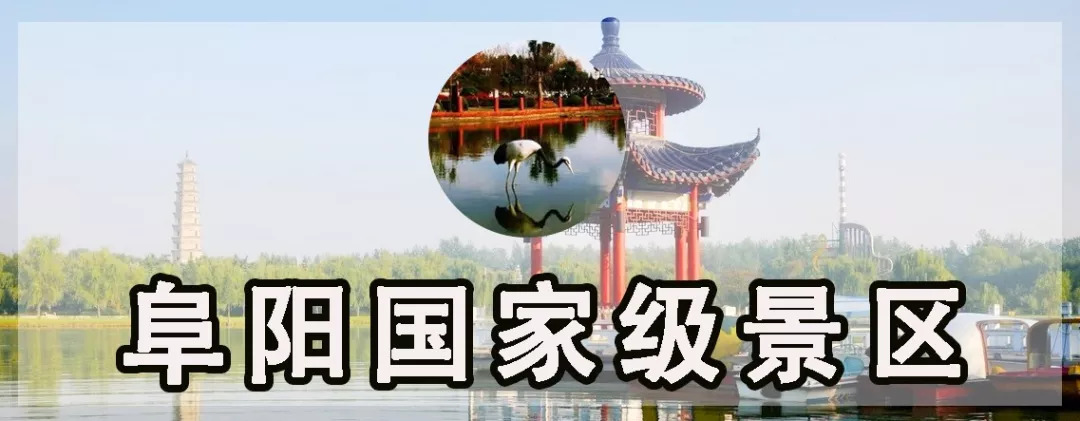 赞!这个20岁女孩把阜阳穿到了身上,竟然还美成这样