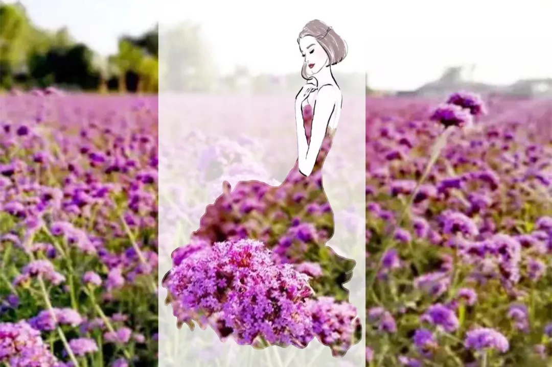 赞!这个20岁女孩把阜阳穿到了身上,竟然还美成这样