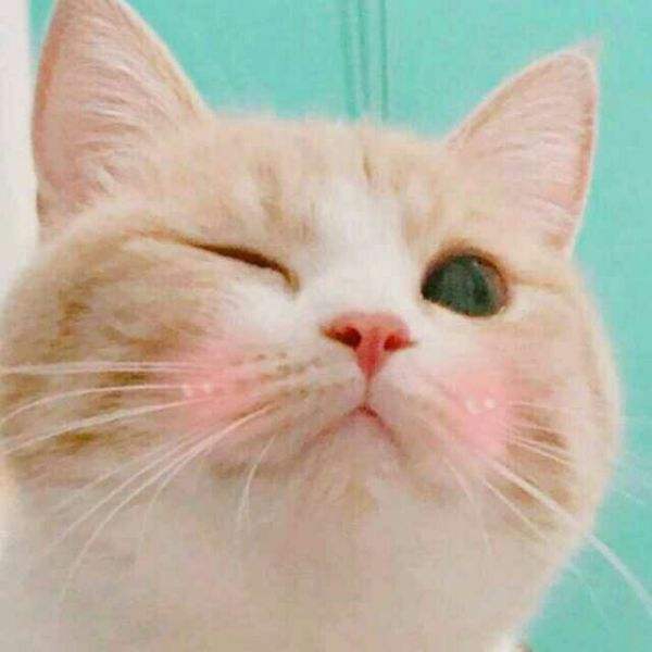 卿水-耽腐精品文推：祖传手艺，男盆友的菜谱上，有我的名字