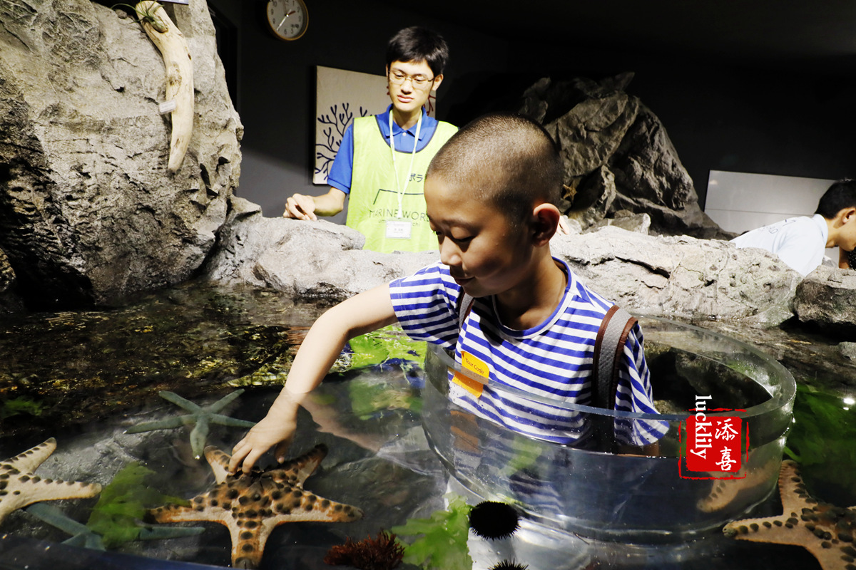 丽星邮轮日本游攻略视频,旅游攻略日本邮轮星梦号