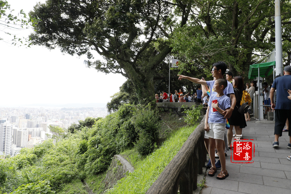 丽星邮轮日本游攻略视频,旅游攻略日本邮轮星梦号