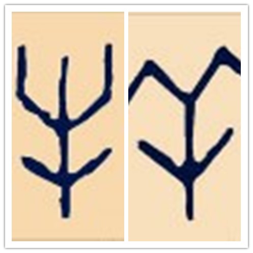 汉字的温度——中国人应该知道的汉字六书