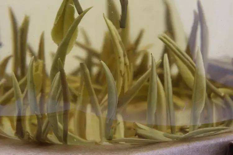 茶物语星座配对,茶物语好喝吗