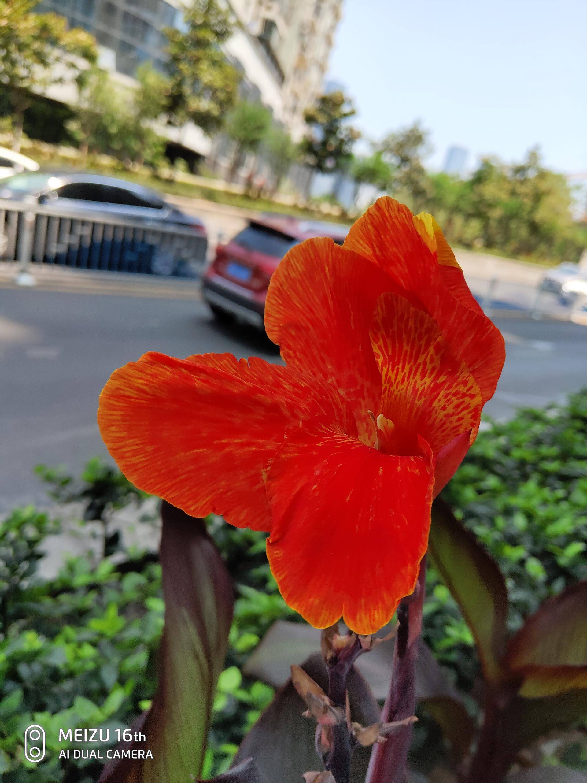 黄章小试牛刀完整版,小试牛刀效果图