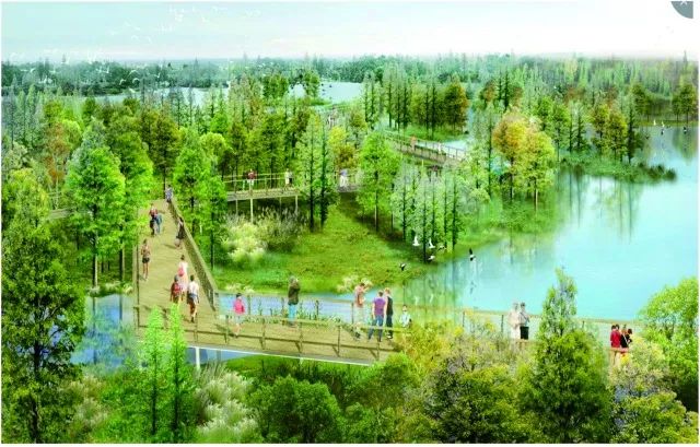 青岛市西海岸中央公园图片,青岛新建公园效果图