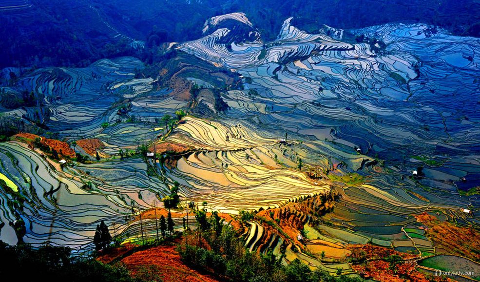 元阳哈尼梯田好玩还是老鹰嘴梯田,世界遗产云南元阳哈尼梯田