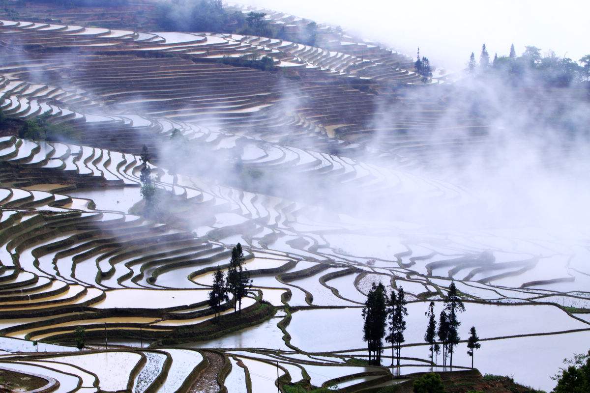 元阳哈尼梯田好玩还是老鹰嘴梯田,世界遗产云南元阳哈尼梯田