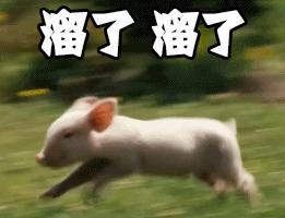 九月放假安排通知,九月放假通知最新