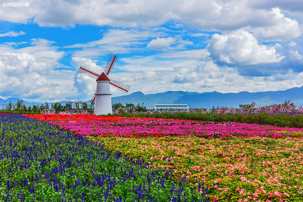 丽江古城旅游度假,丽江古城是翻新的吗