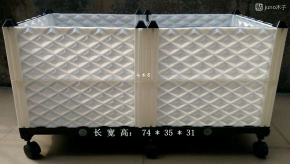 草龟繁殖经验分享孵蛋40天破壳,草龟孵化及幼龟养殖