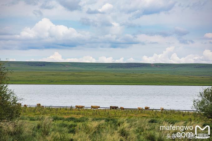 内蒙古达里湖在什么地方,内蒙古达里湖南岸景区怎么玩最好