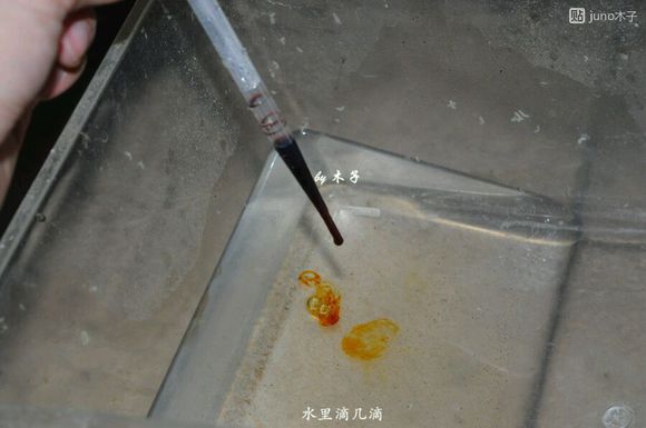 草龟繁殖经验分享孵蛋40天破壳,草龟孵化及幼龟养殖